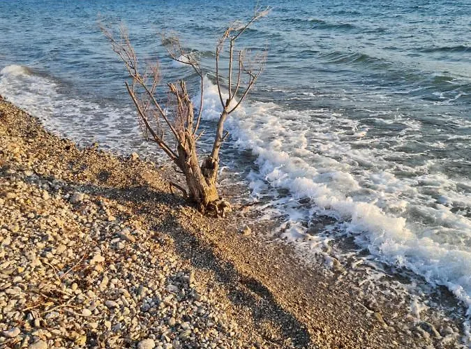 Stone House Goranova Kuca